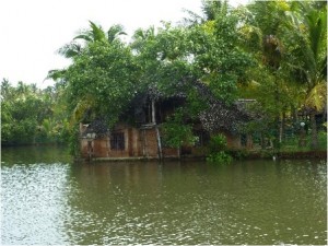 House-boat : bateau typique du Kerala